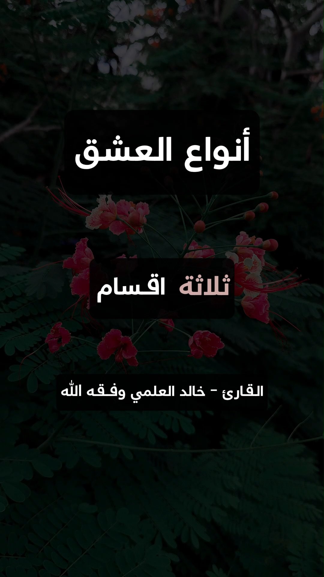 أنواع العشق