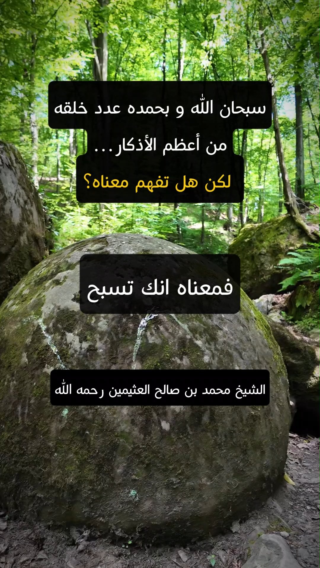 سبحان الله و بحمده عدد خلقه من أعظم الأذكار