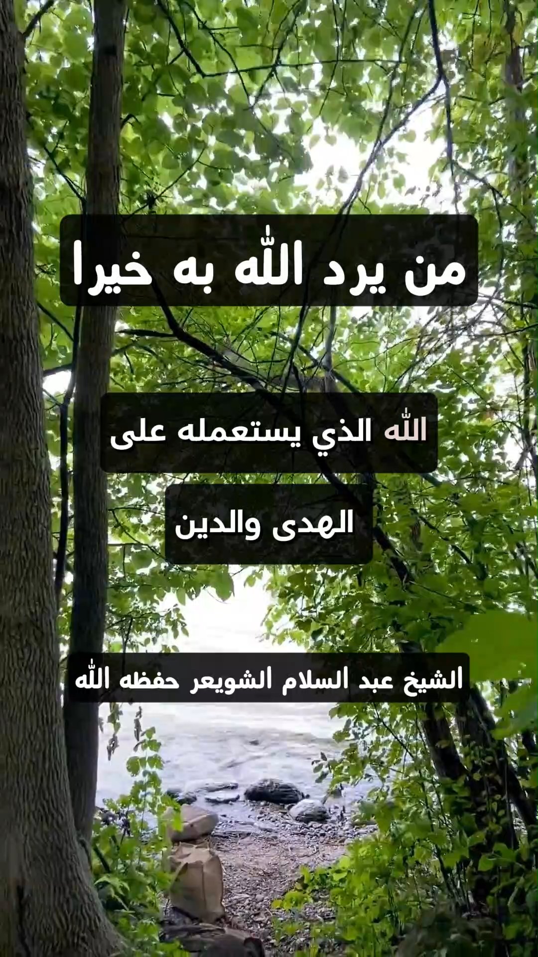 من يرد الله به خيرا