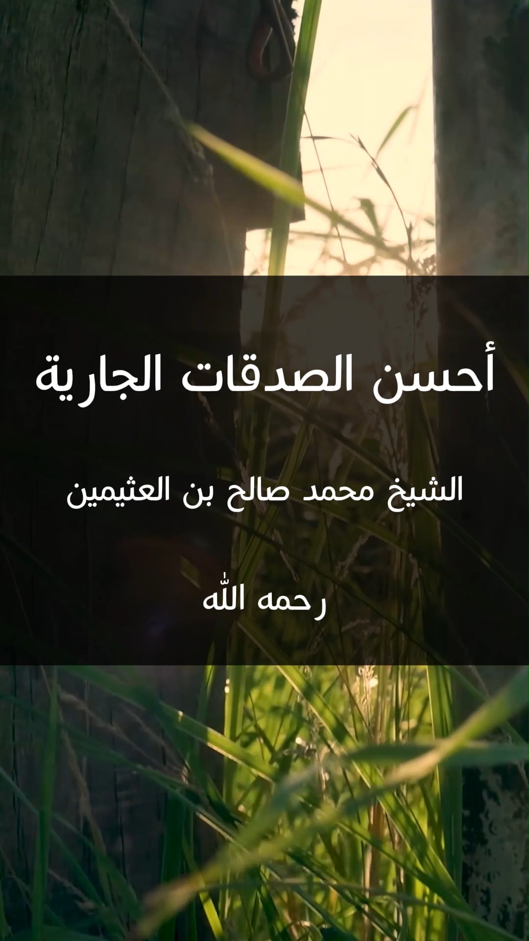 أحسن الصدقات الجارية الشيخ محمد صالح بن العثيمين