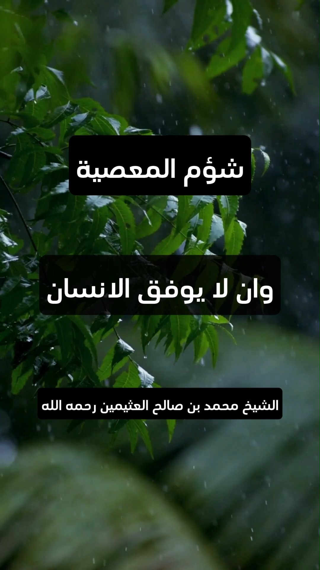 شؤم المعصية
