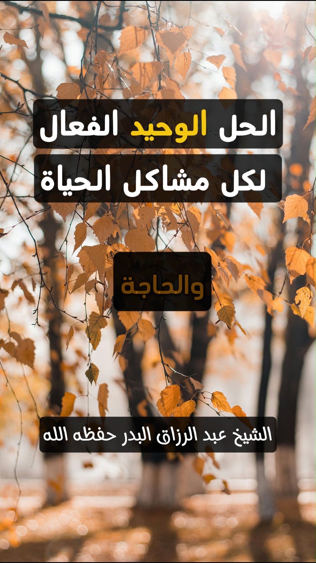 الحل الوحيد الفعال لكل مشاكل الحياة