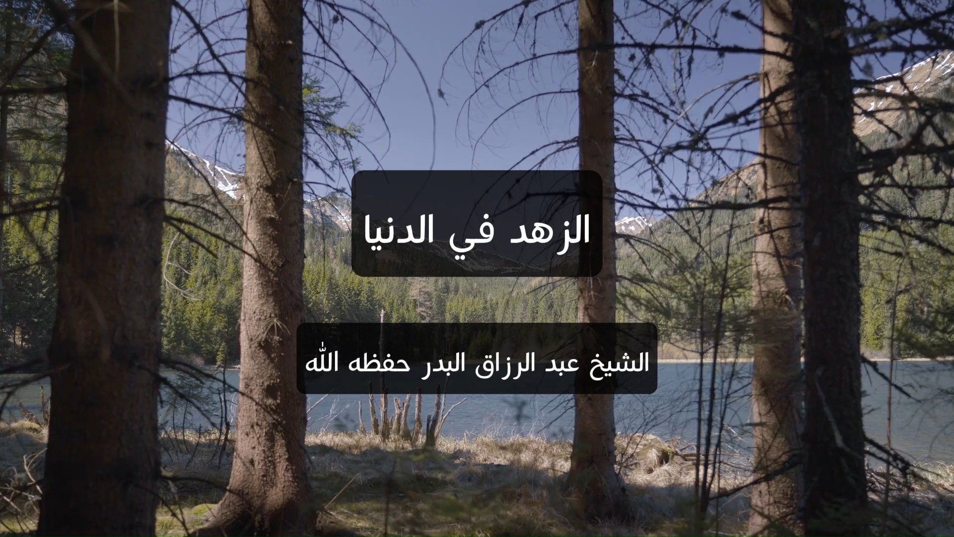 الزهد في الدنيا
