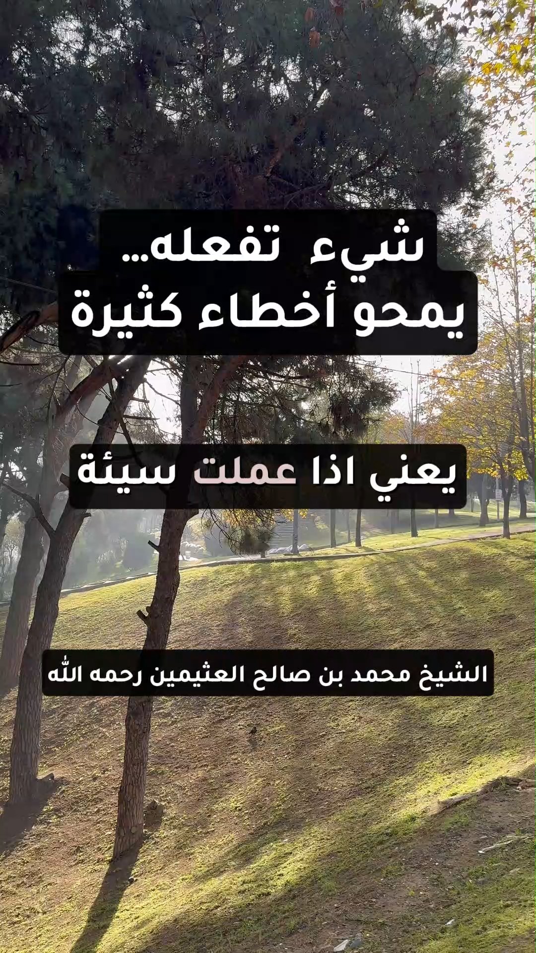 الحسنة تذهب السيئة