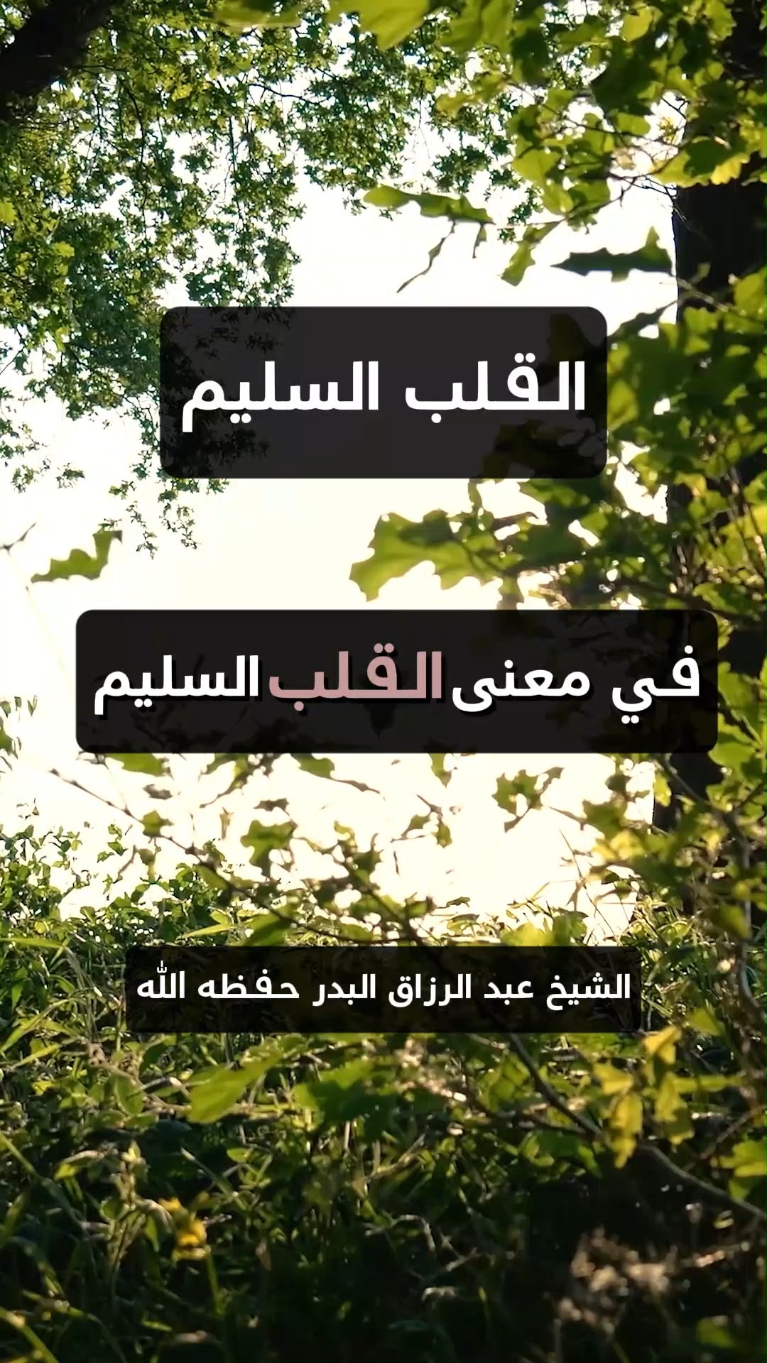 القلب السليم