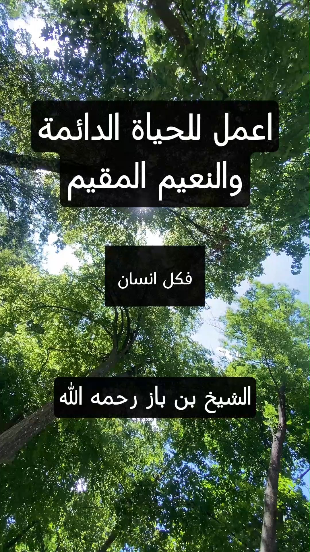 اعمل للحياة الدائمة والنعيم المقيم