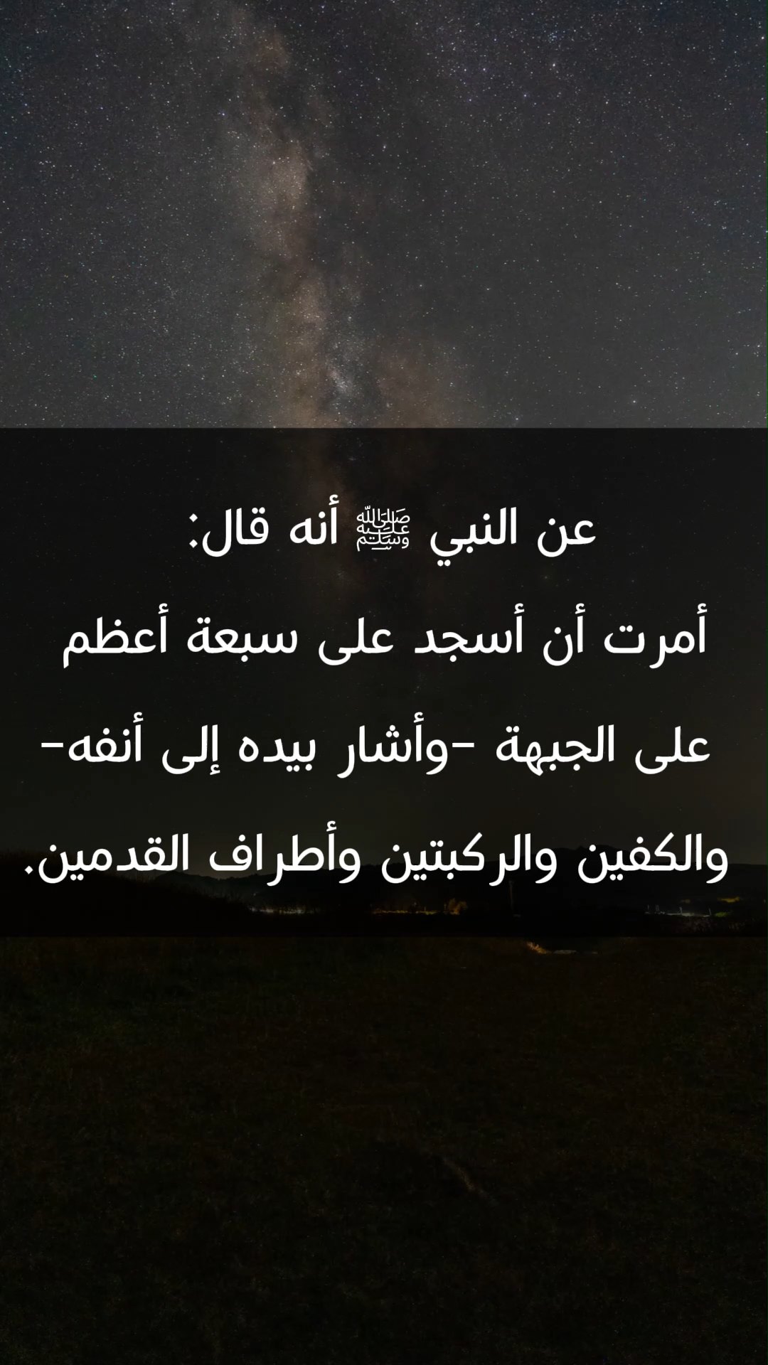 السجود الصحيح