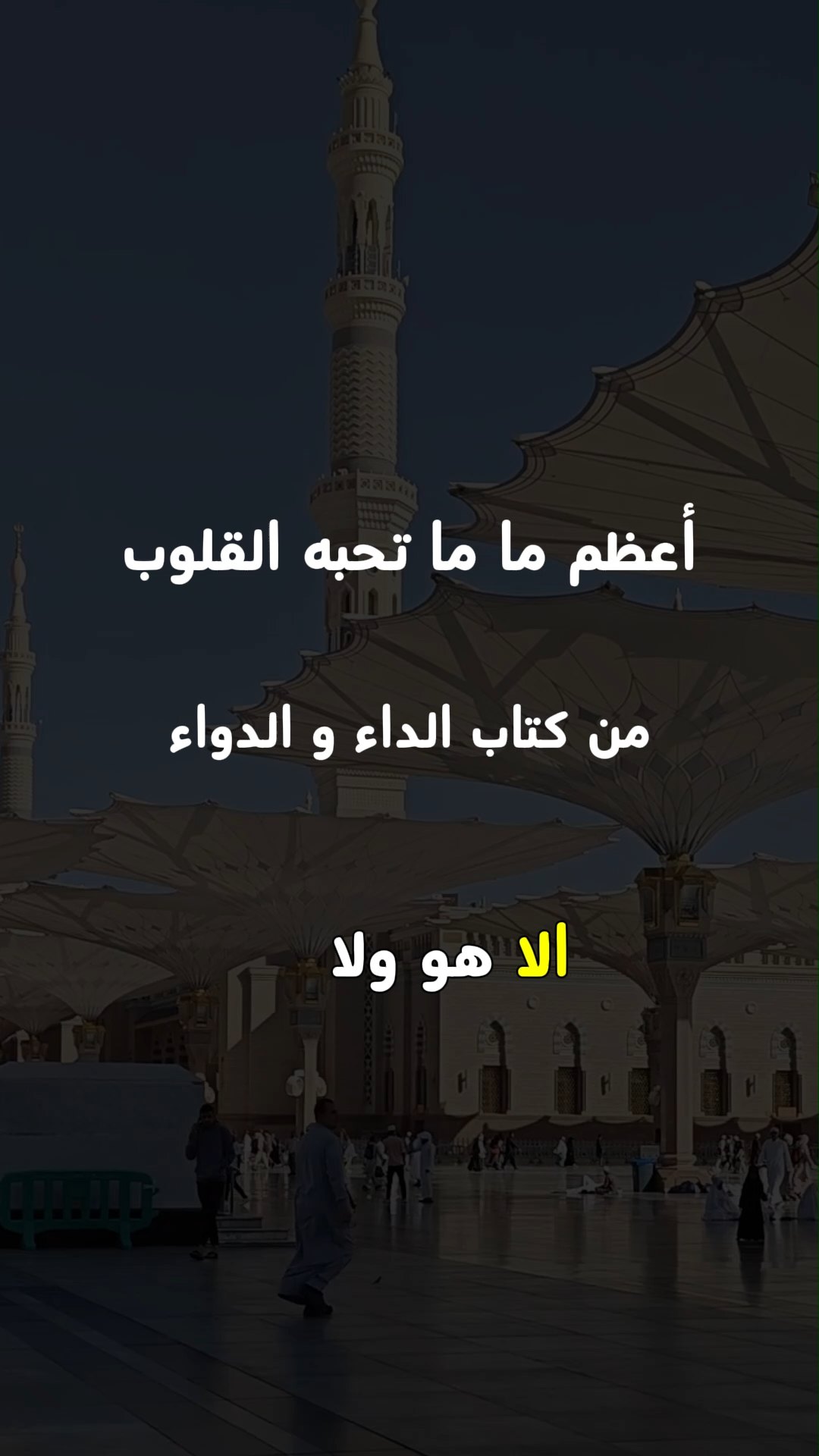 أعظم ما ما تحبه القلوب
