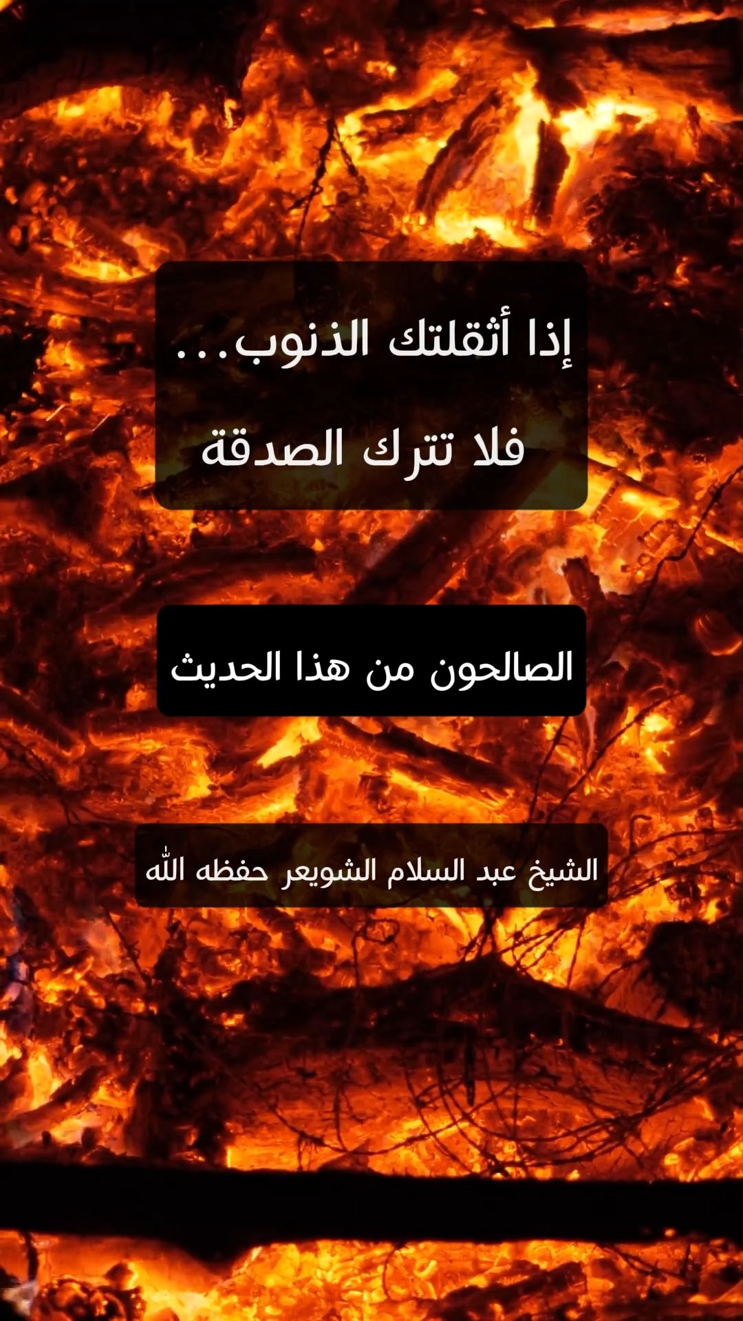إذا أثقلتك الذنوب… فلا تترك الصدقة