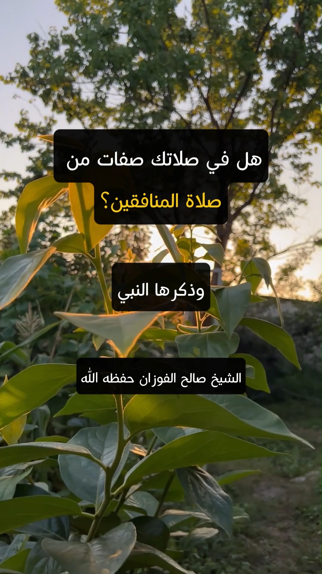 هل في صلاتك صفات من صلاة المنافقين؟
