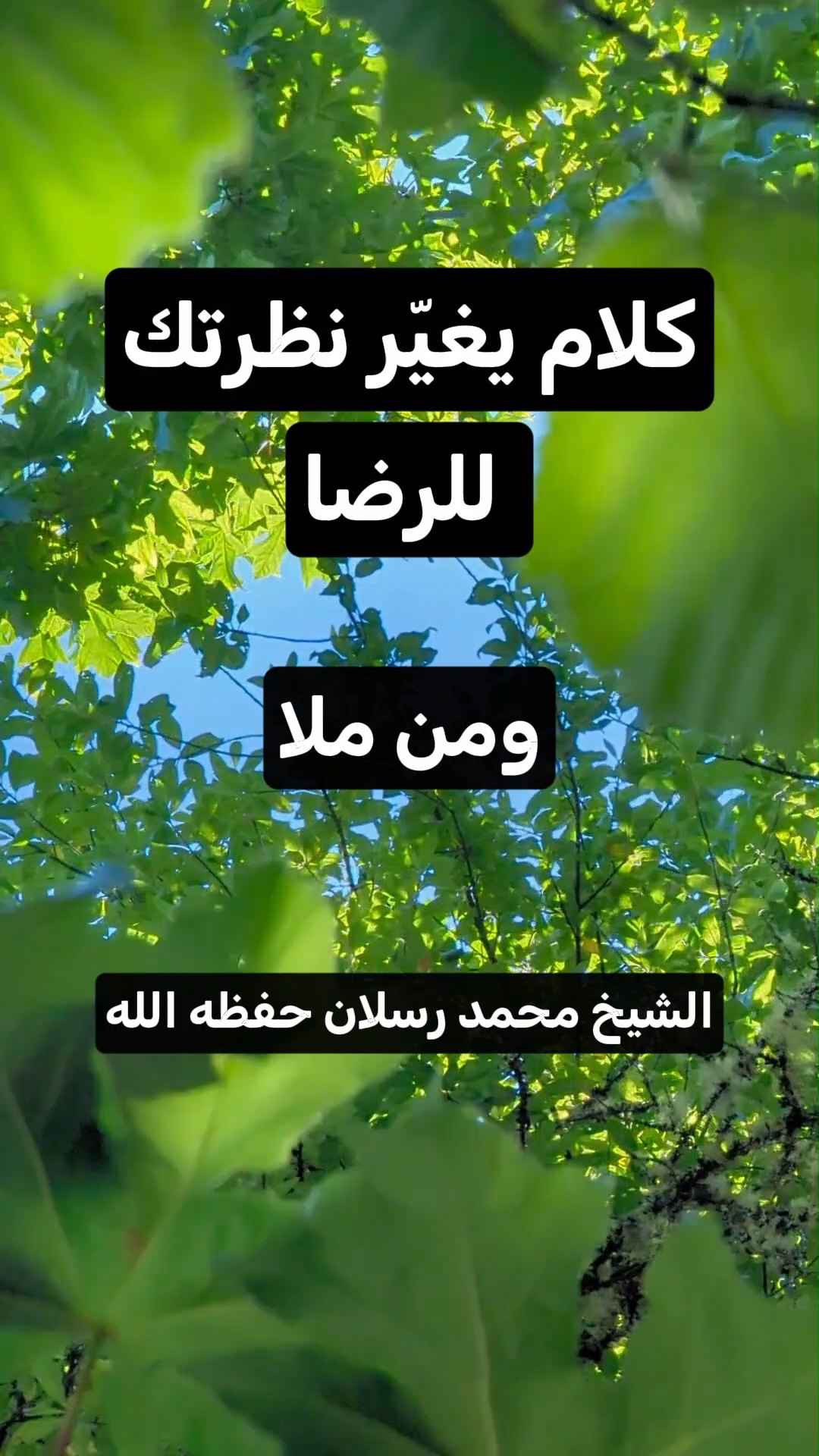 كلام يغيّر نظرتك للرضا