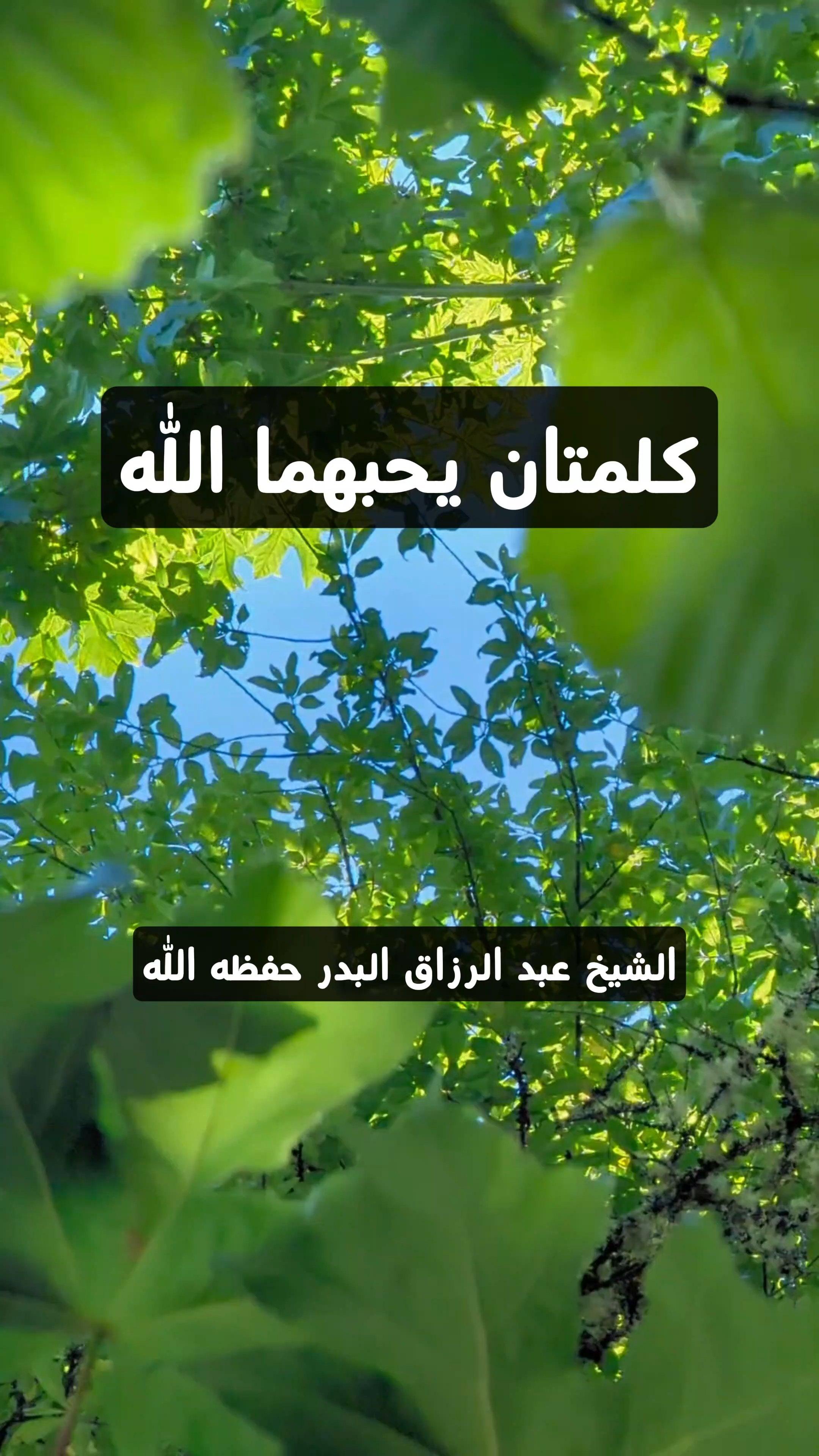 كيف تجدد ايمانك بثلاث تهليلات لا تغفل عنها!