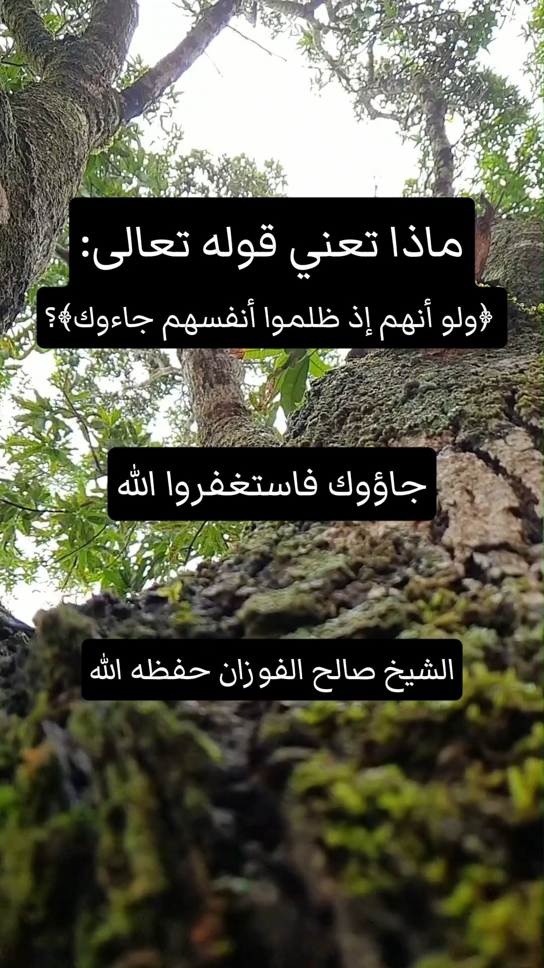 ماذا تعني قوله تعالى ﴿ولو أنهم إذ ظلموا أنفسهم 