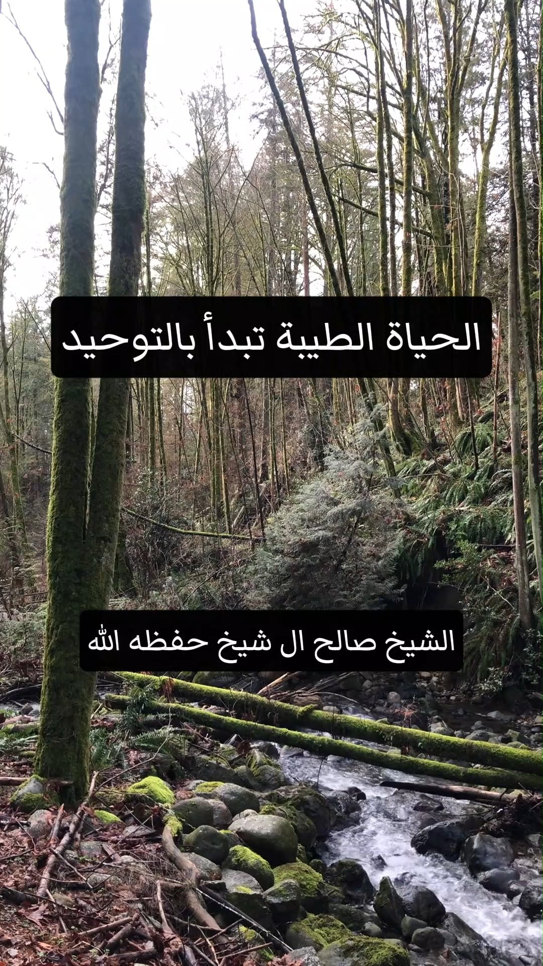 الحياة الطيبة تبدأ بالتوحيد