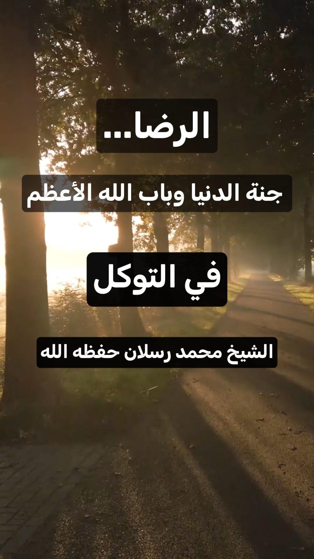 الرضا... جنة الدنيا وباب الله الأعظم