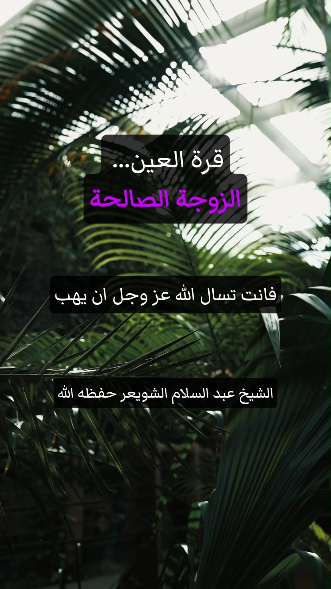 قرة العين... الزوجة الصالحة