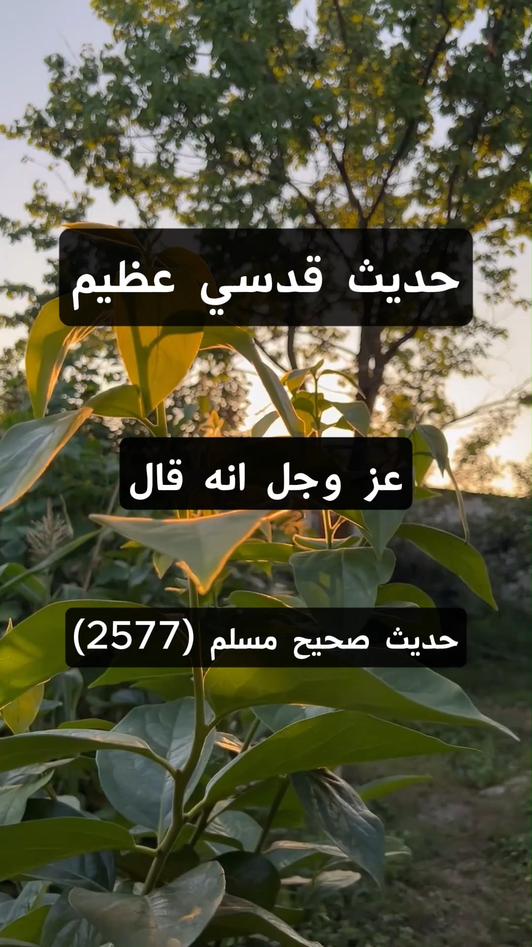 حديث قدسي عظيم