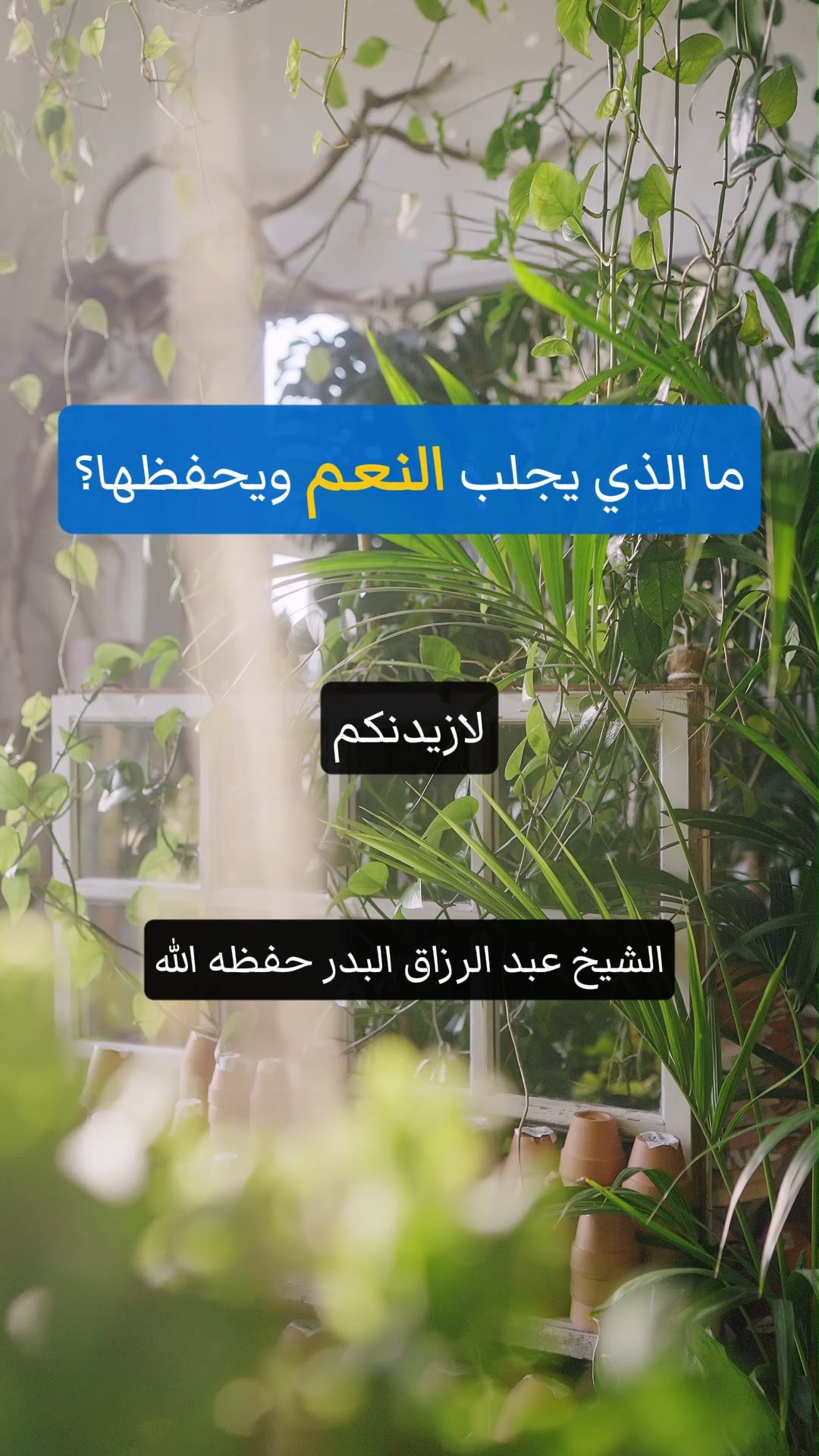 ما الذي يجلب النعم ويحفظها؟