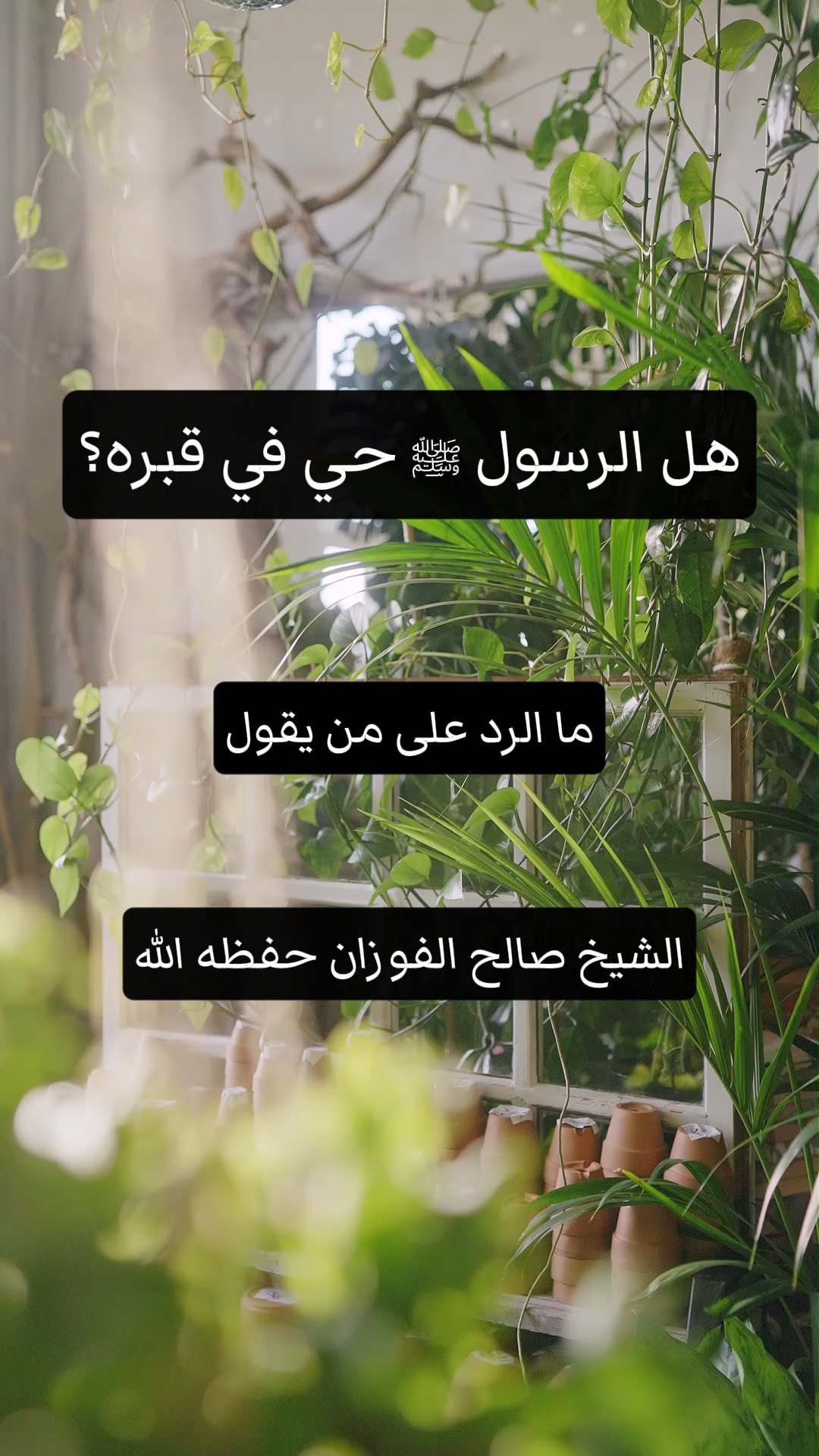 هل الرسول ﷺ حي في قبره؟