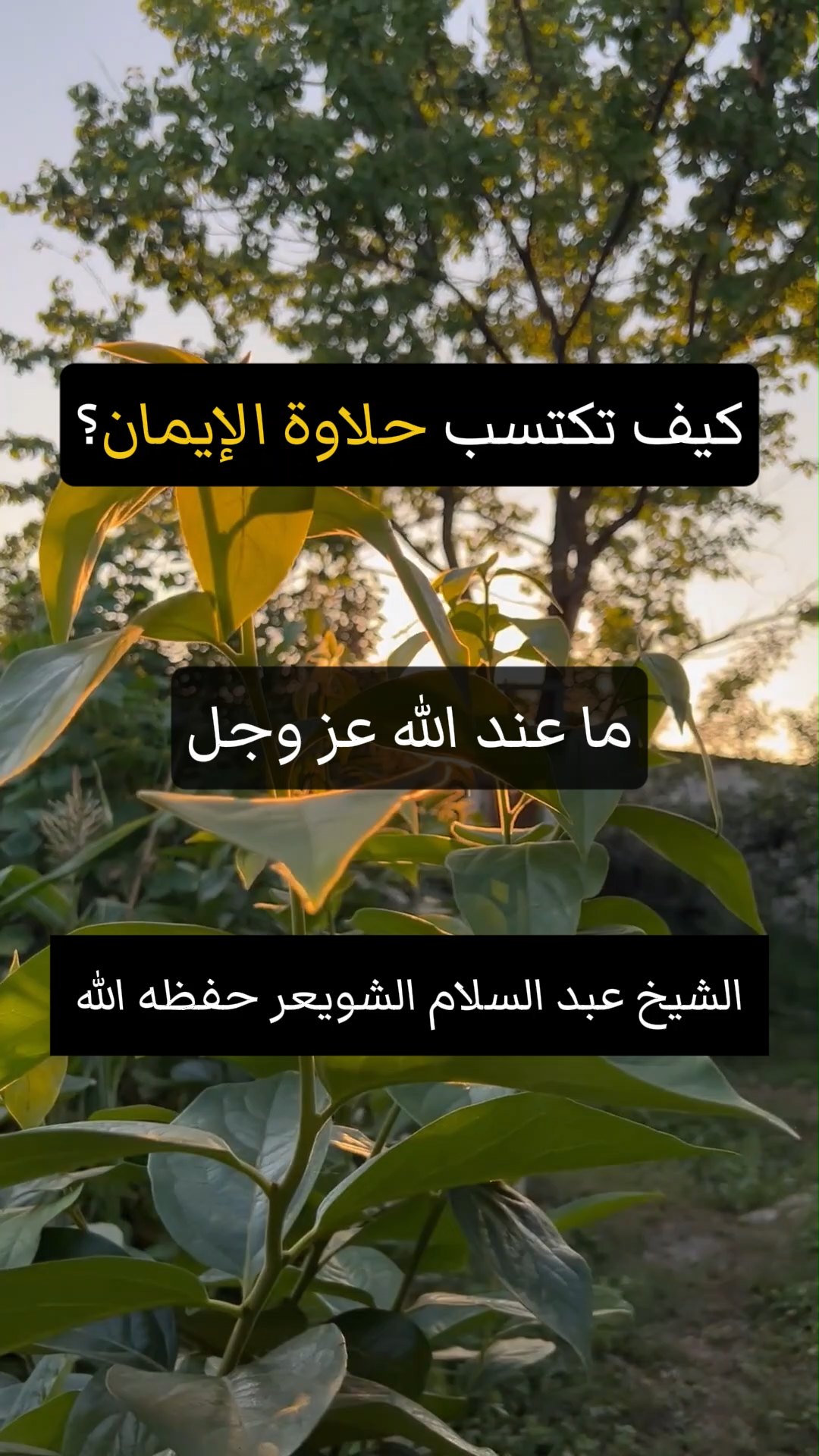 كيف تكتسب حلاوة الإيمان؟