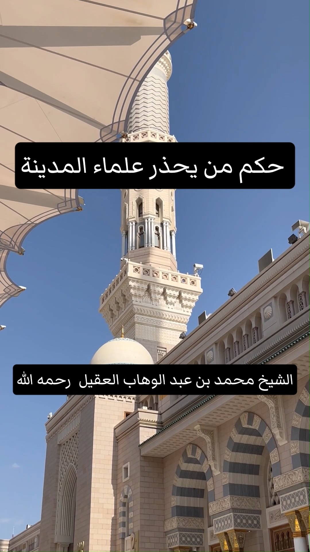 حكم من يحذر علماء المدينة