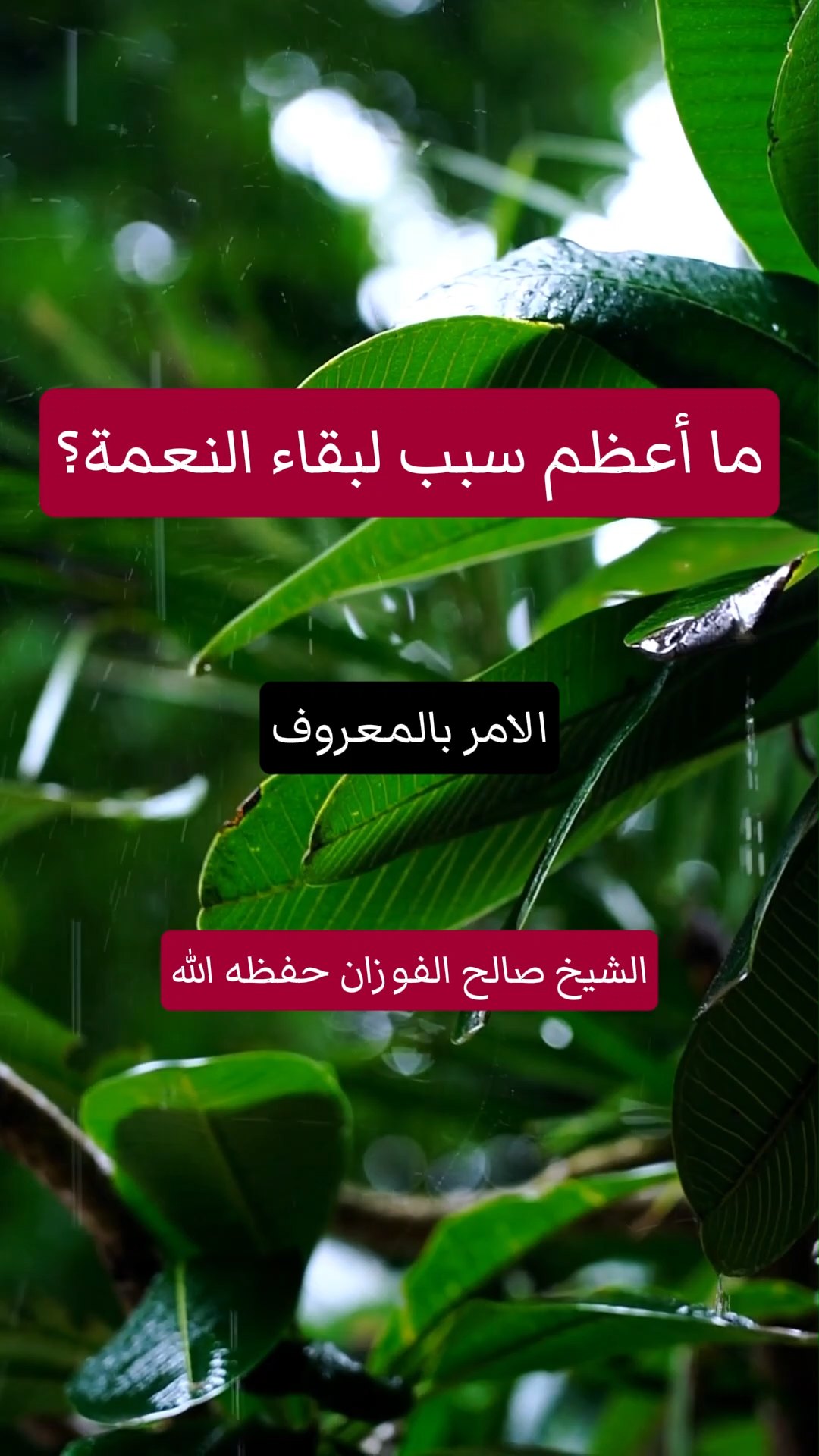 ما أعظم سبب لبقاء النعمة؟