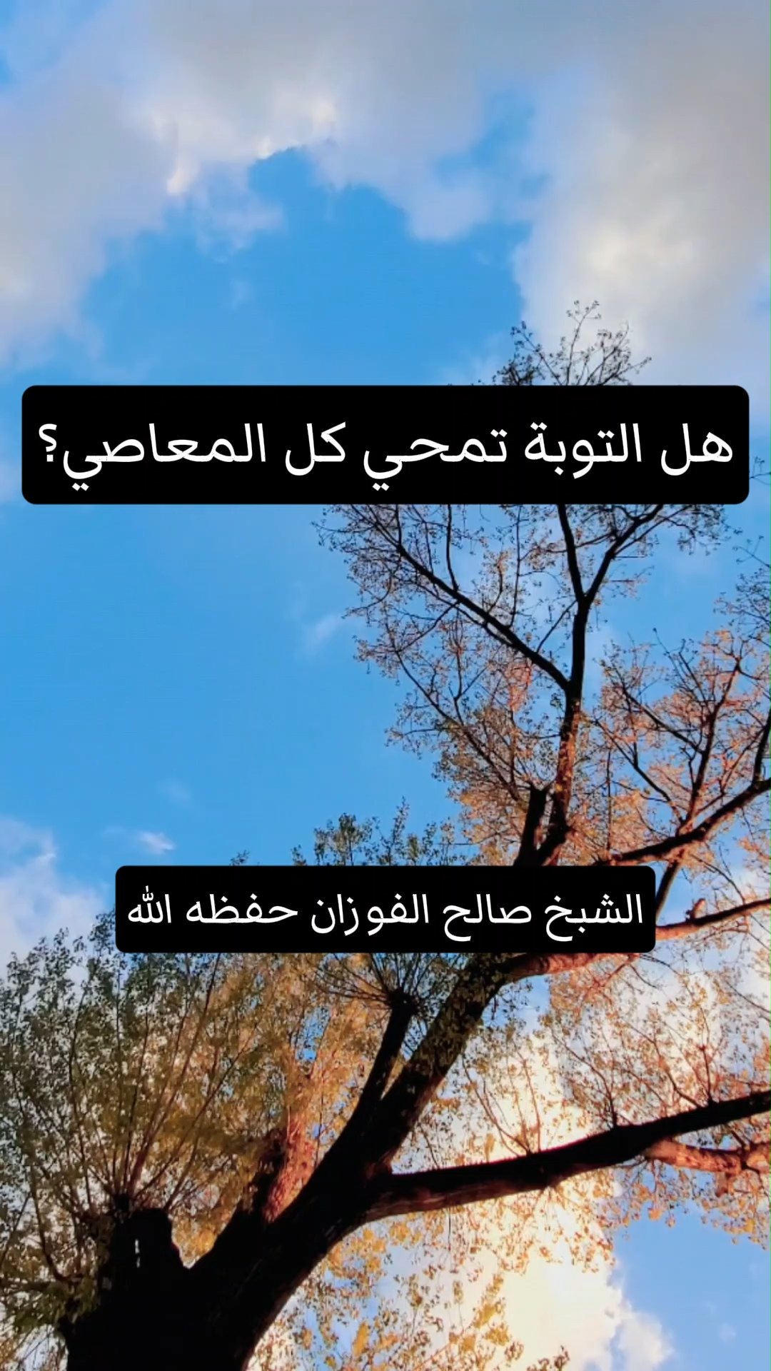 هل التوبة  تمحي كل المعاصي؟