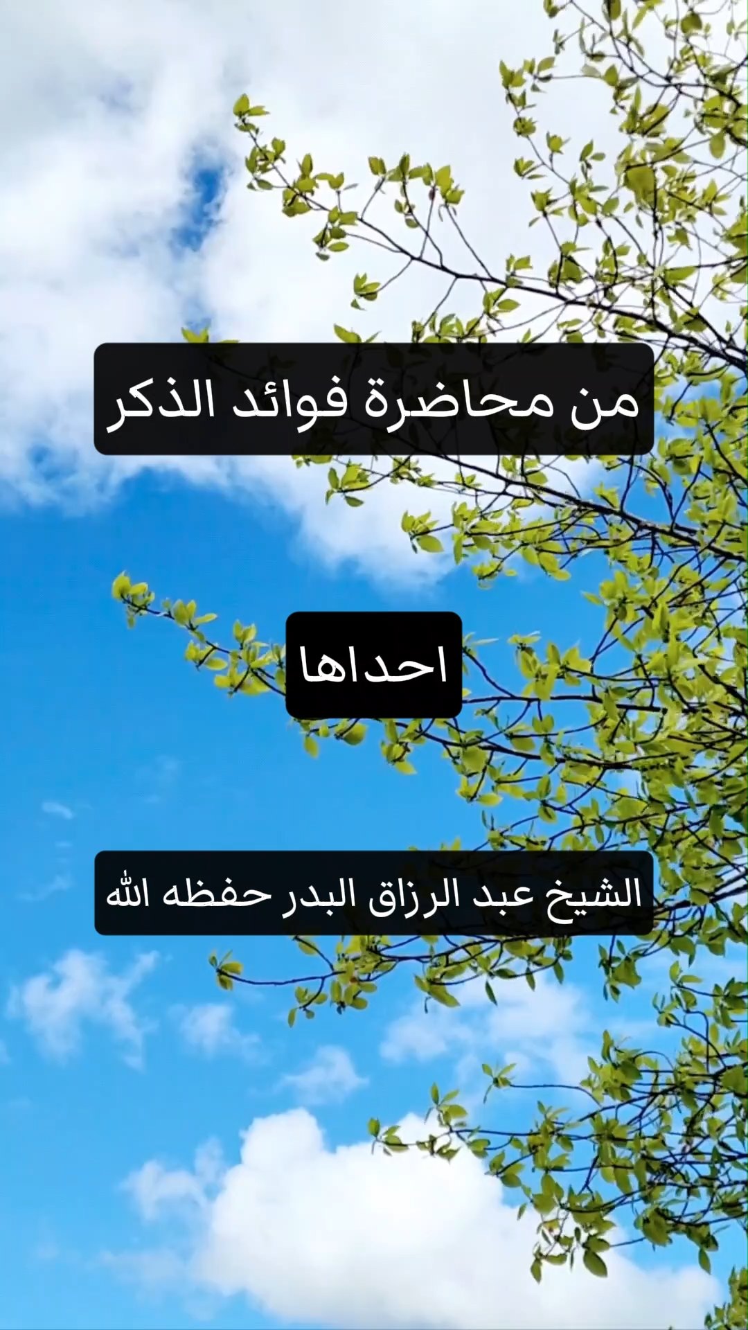 من محاضرة فوائد الذكر