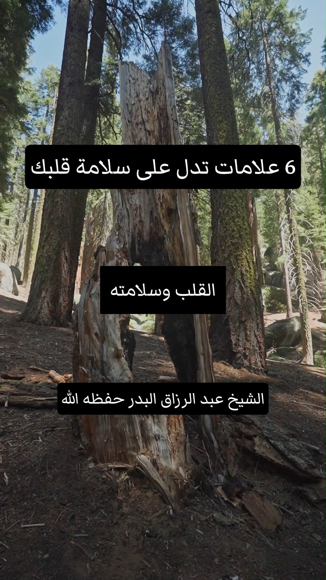 6 علامات تدل على سلامة قلبك