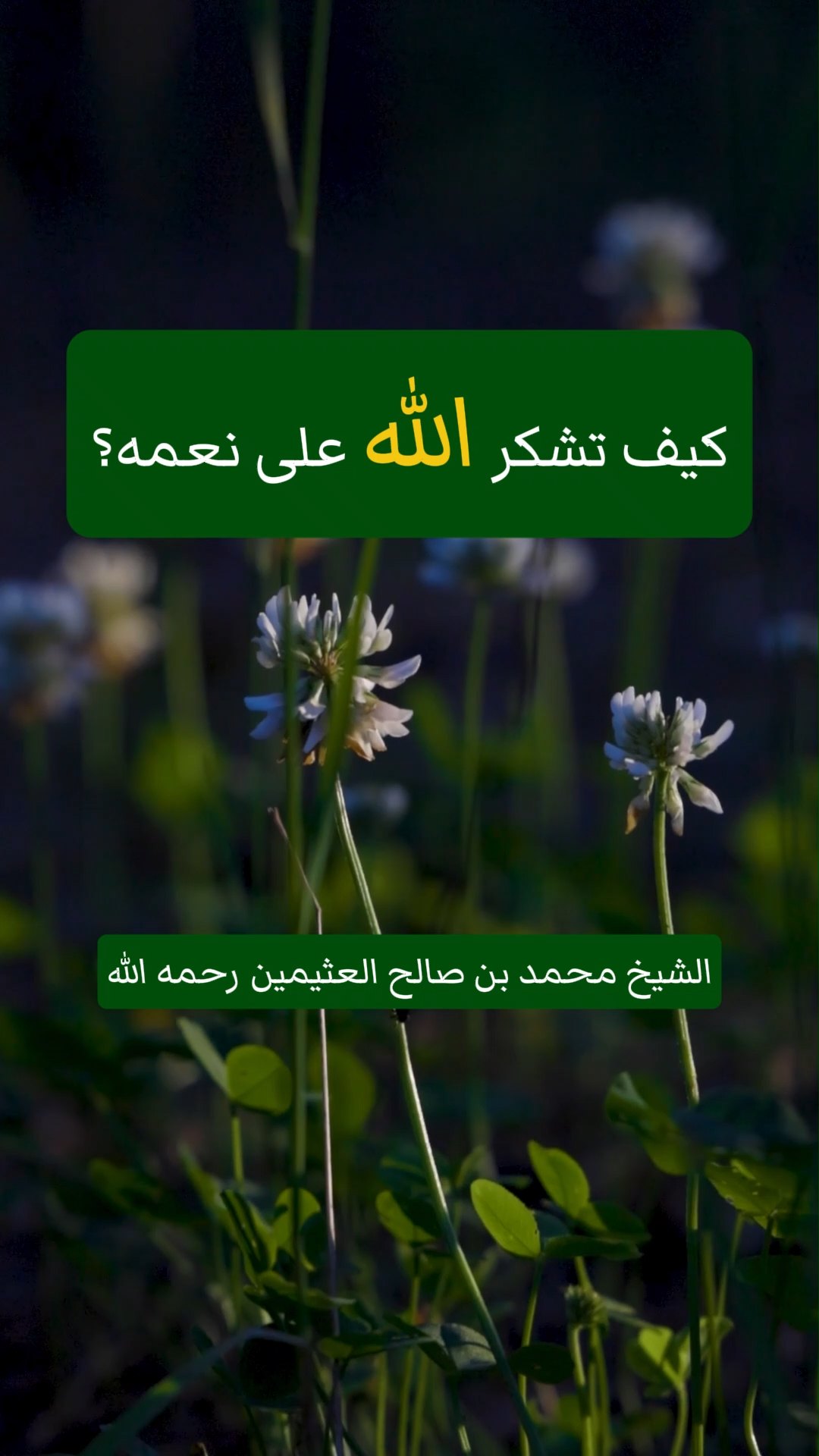 كيف تشكر الله على نعمه؟