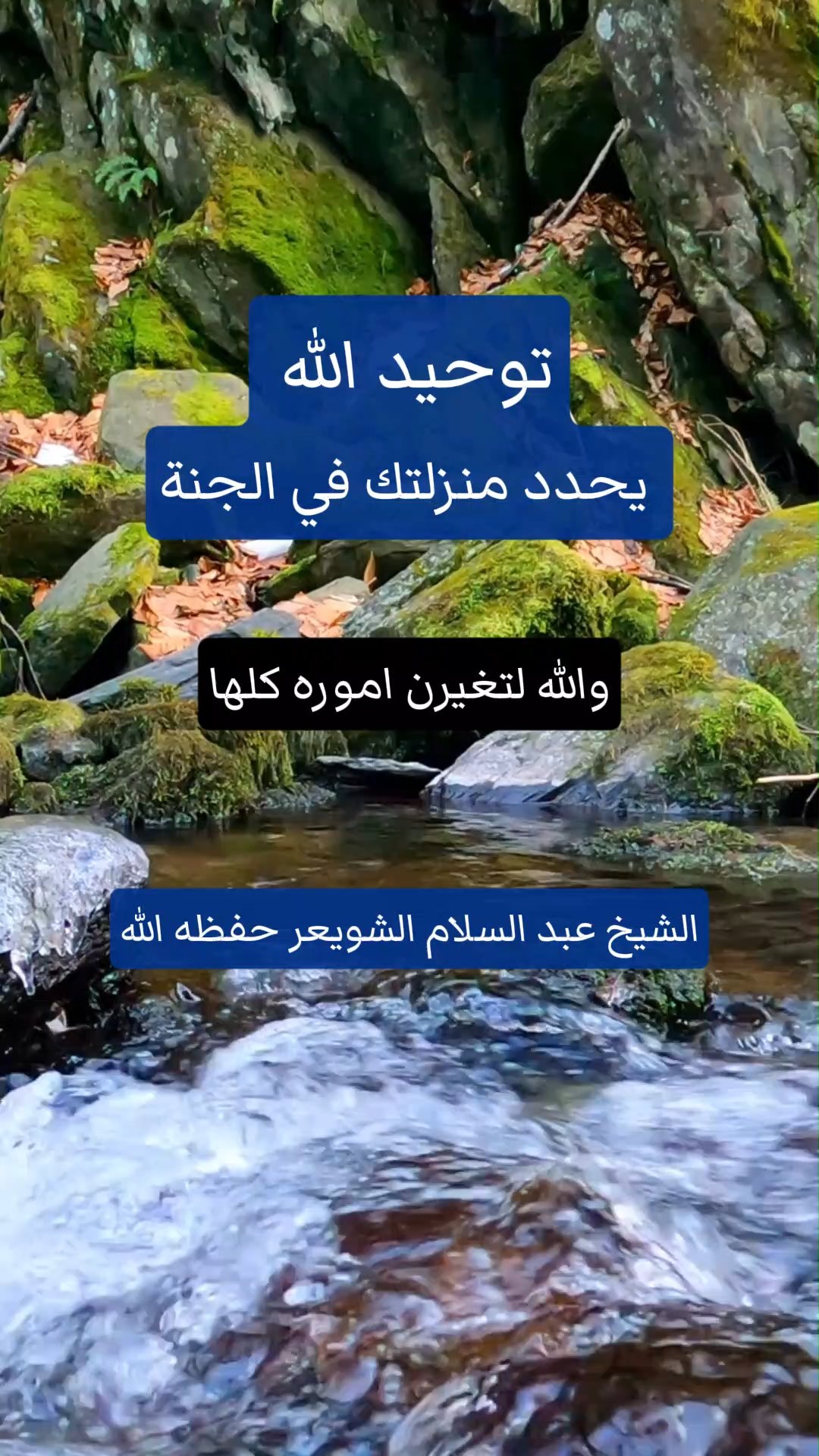 توحيد الله يحدد منزلتك في الجنة
