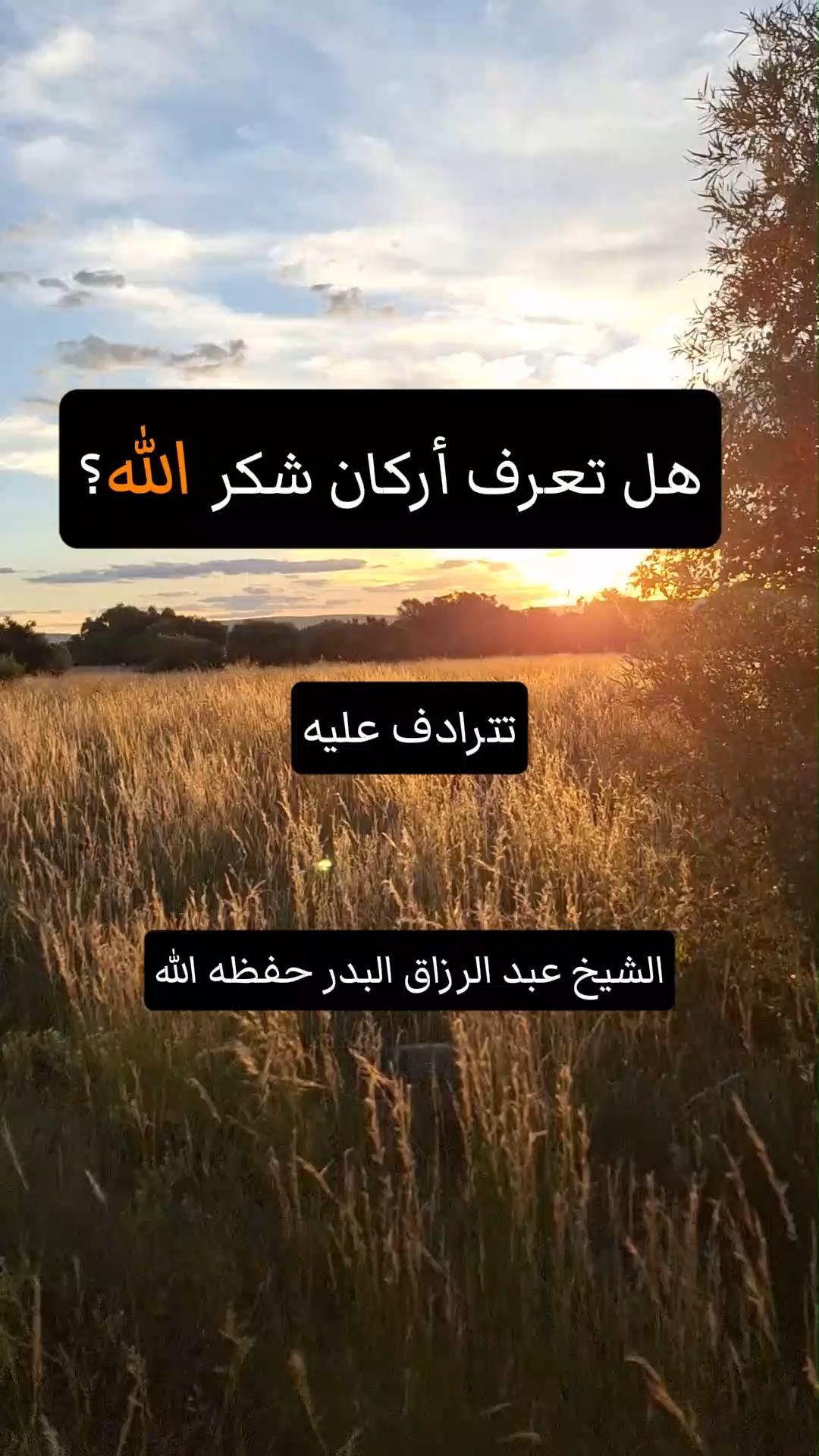 هل تعرف أركان شكر الله؟