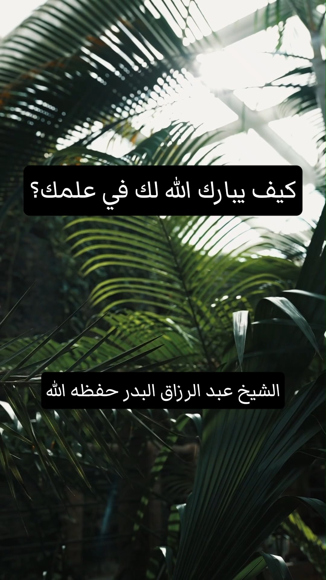 كيف يبارك الله لك في علمك؟