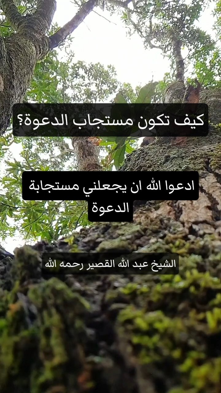 كيف تكون مستجاب الدعوة؟